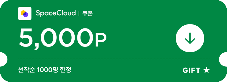 5,000P 쿠폰 · 연말 5천원 쿠폰